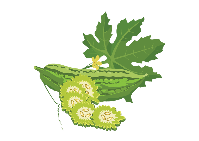 Illustration for article titled Get Relief With The Karavellaka Ayurvedic Herb